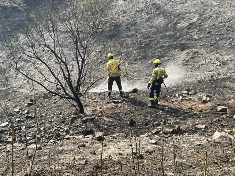 Un foc forestal crema 4,93 hectàrees al Parc de Can Zam