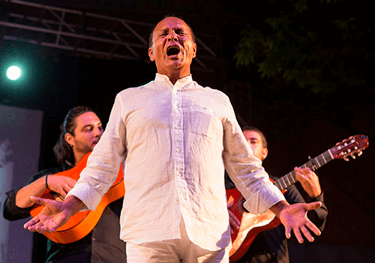 La programació del Flamenc ON agafa forma
